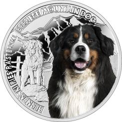 1$ 2015 Niue Island - Man's Best Friend - Berner Hund 