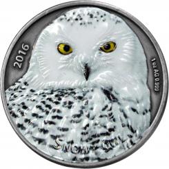 1000 Francs 2016 Burkina Faso - Snowy Owl 