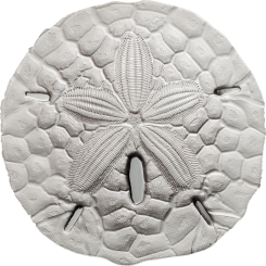 1$ 2017 Palau - Sand Dollar 