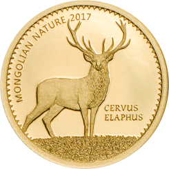 1000 Togrog 2017 Mongolei - Mongolian Nature - Brüllende Hirsche Au 