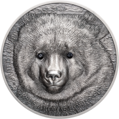 500 Togrog 2018 Mongolia - Gobi Bear 