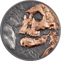 500 Togrog 2021 Mongolia - Evolution of Life - Hominidae 