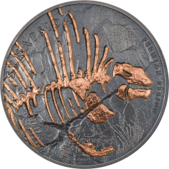 500 Togrog 2022 Mongolia - Evolution of life - Synapsida 