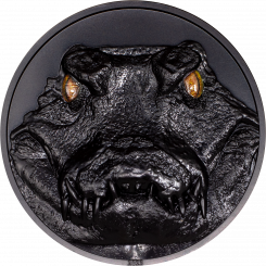 10$ 2023 Palau - Hunters by Night - Caiman 