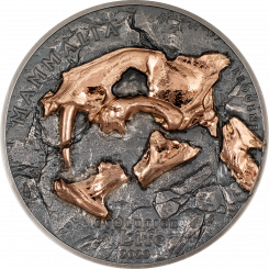 500 Togrog 2023 Mongolia - Evolution of Life – Nimravidae 