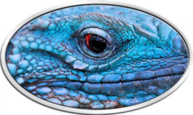 2 $ Niue Island 2012 - Blue Iguana XL 