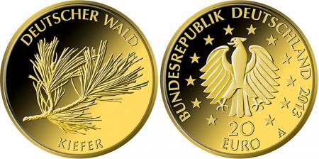 20 Euro 2013 - Deutscher Wald - Kiefer 