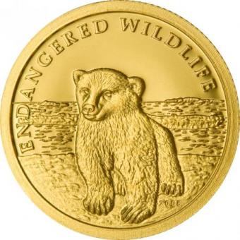 10 $ 2008 Cook Islands junger Eisbär - Gold 