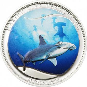 5 $ 2010 Palau - Hammerhai 