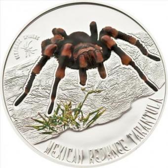 1$ 2012 Niue Island - Mexikanische Rotknie Vogelspinne 