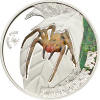 2$ 2012 Cook Islands - brasilianische Wanderspinne / Phoneutria 